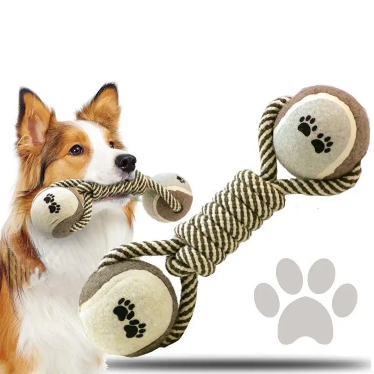 Il cane è sano per i cani?