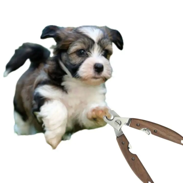 Strumento di toelettatura per unghie per animali domestici: guida alla scelta del miglior clipper per unghie per animali domestici
